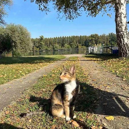 Ferienhaus Kuca Na Dunavu