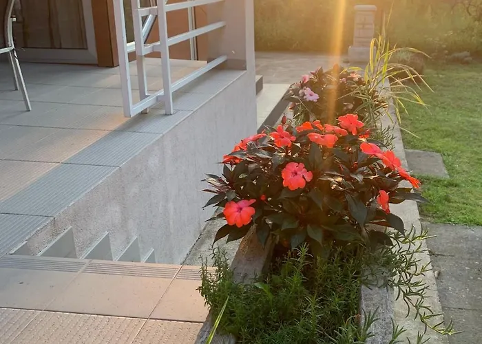 Kuca Na Dunavu * 베오그라드