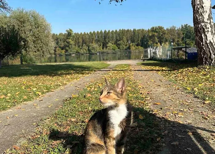 펜션 Kuca Na Dunavu