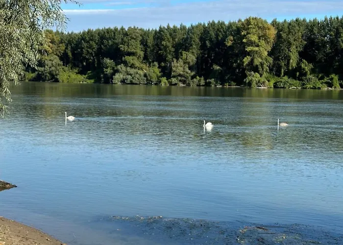 Kuca Na Dunavu 펜션 *